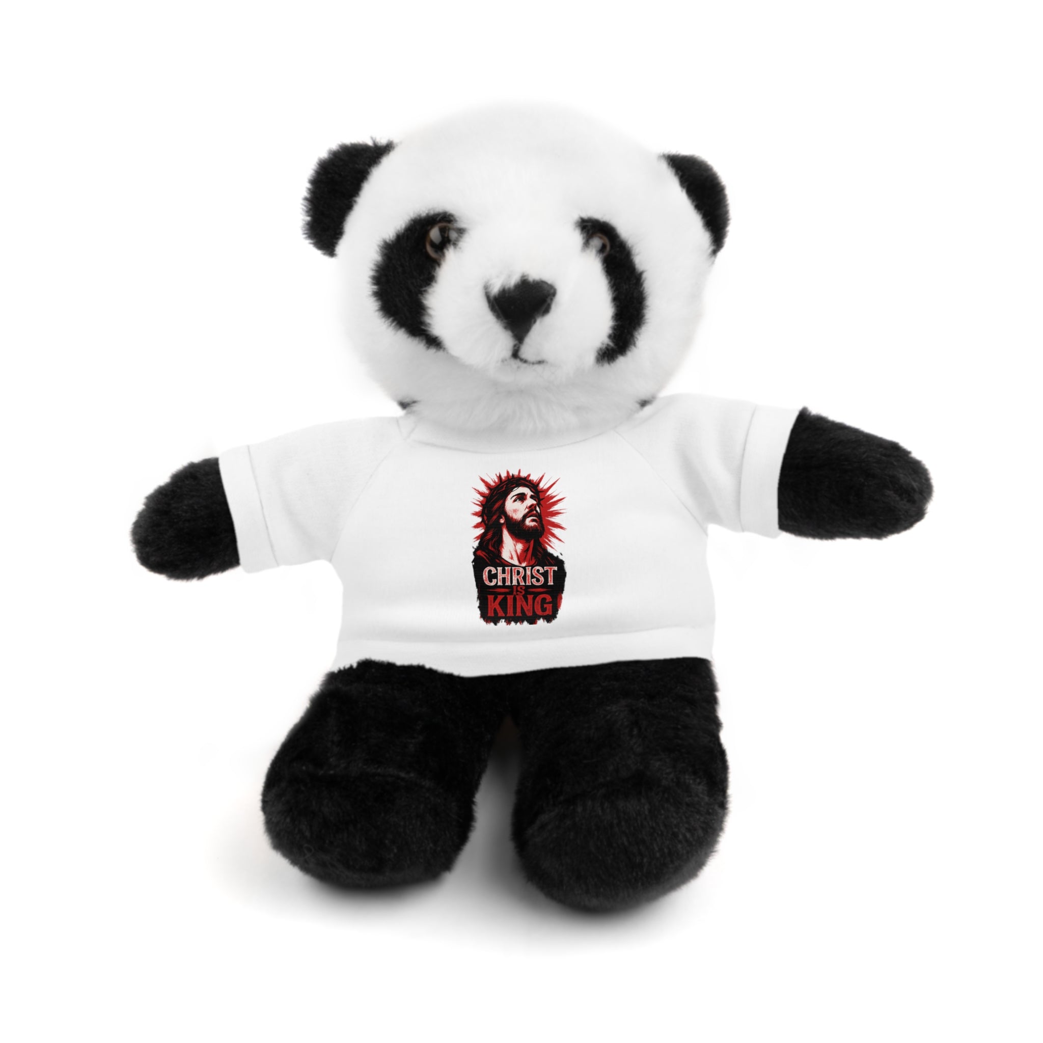 Christ is King Cute Stuffed Animal Tee Bear, Plush Bear with Shirt
