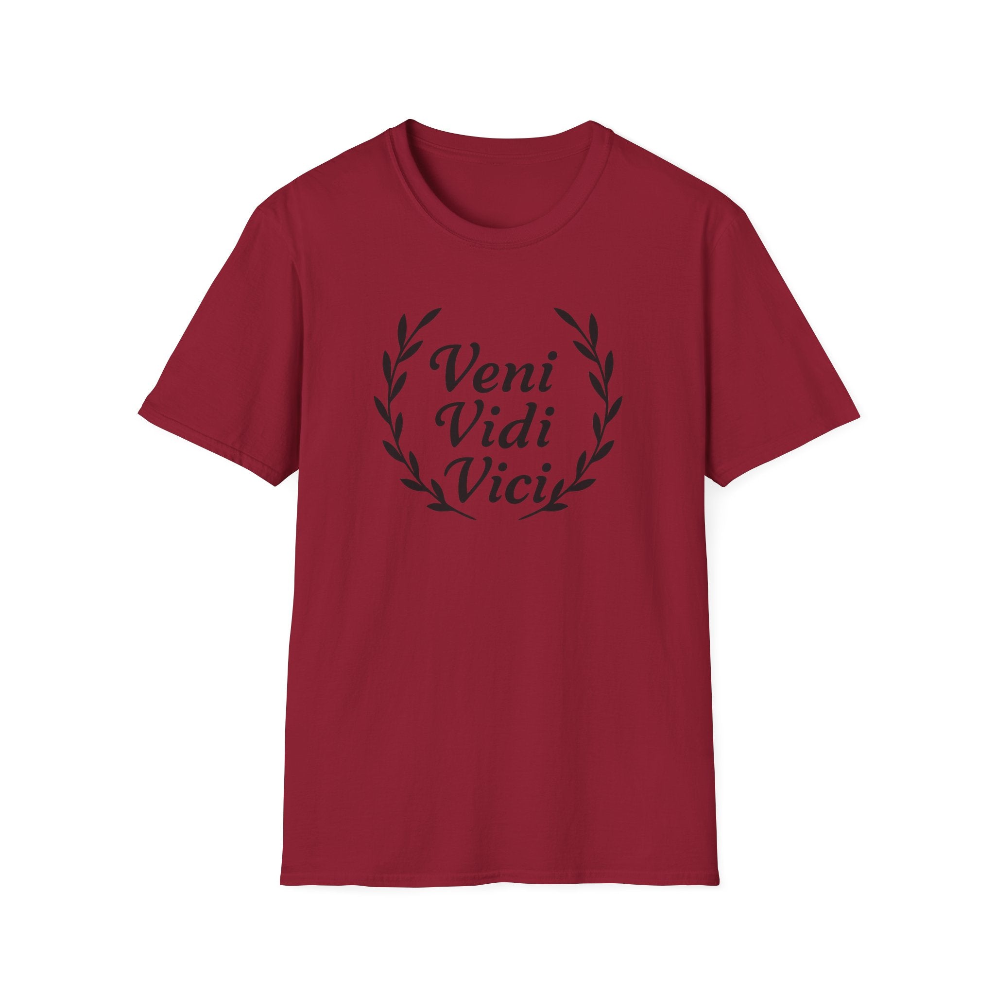 Veni Vidi Vici Black Design T-Shirt