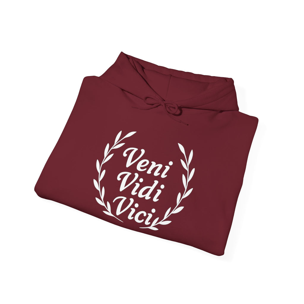 Veni Vidi Vici "I Came, I saw, I Conquered" White Graphic Pull Over Hoodie Sweatshirt