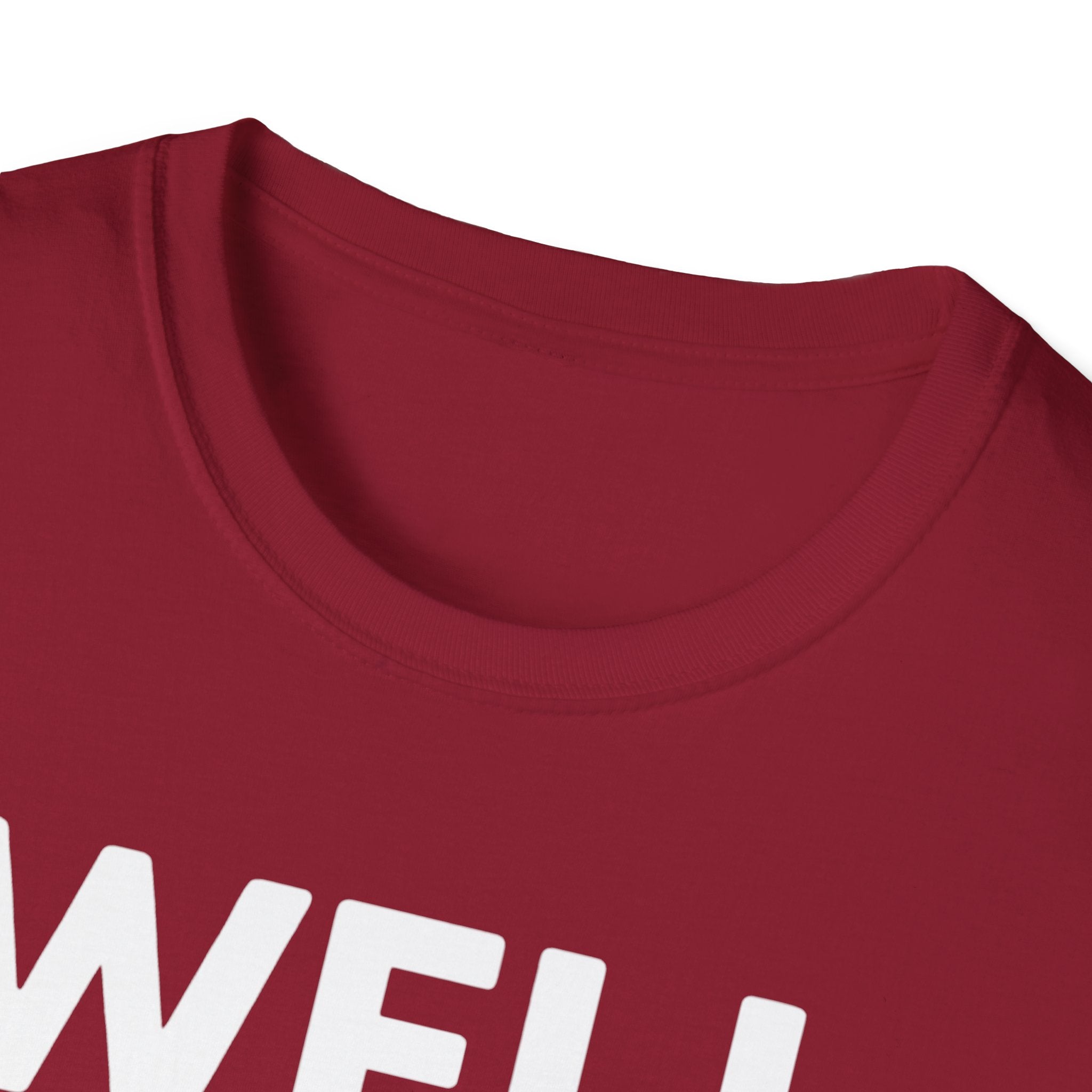 Well Hung Christmas T-Shirt | Funny Holiday Tee | Christmas Stocking Humor Shirt