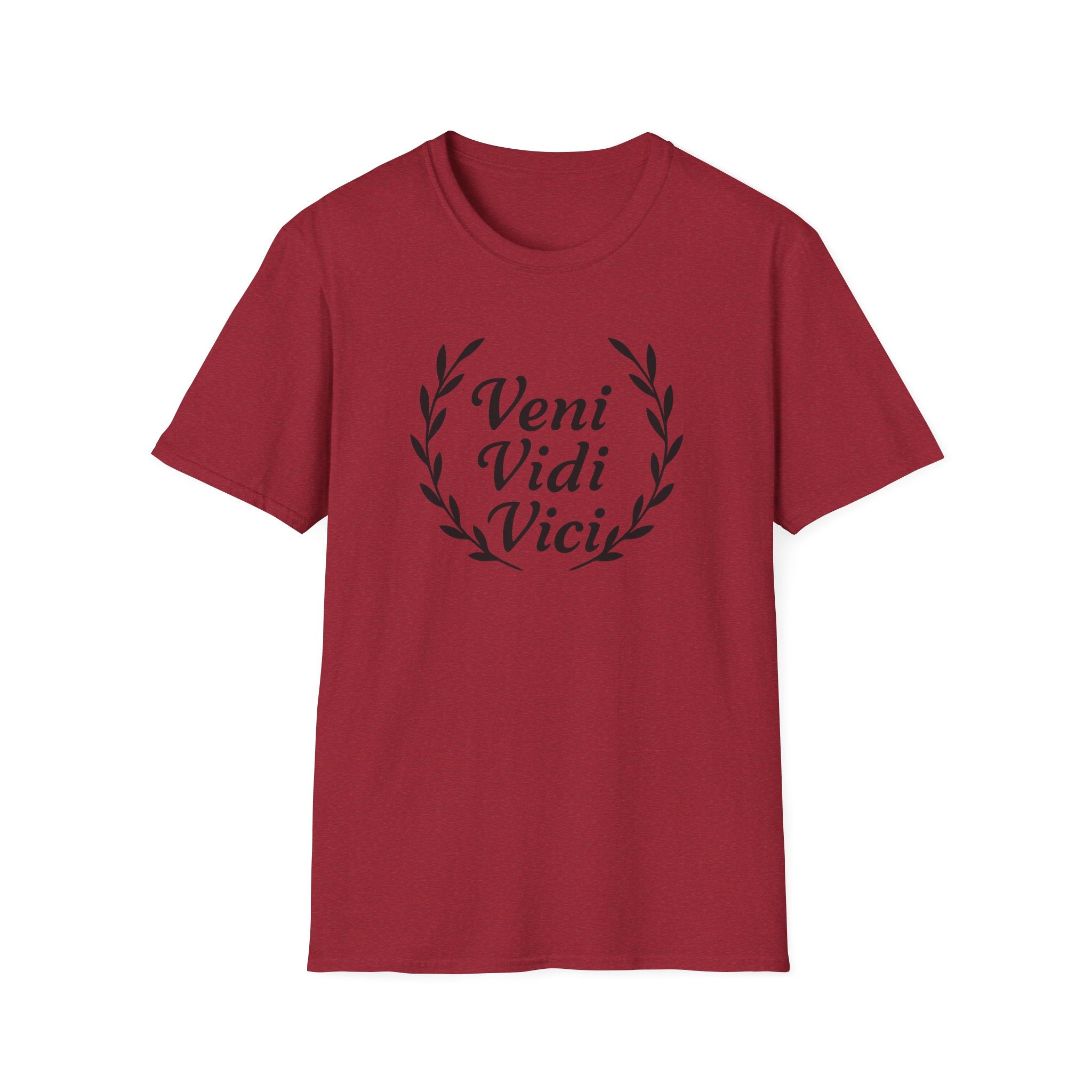 Veni Vidi Vici Black Design T-Shirt
