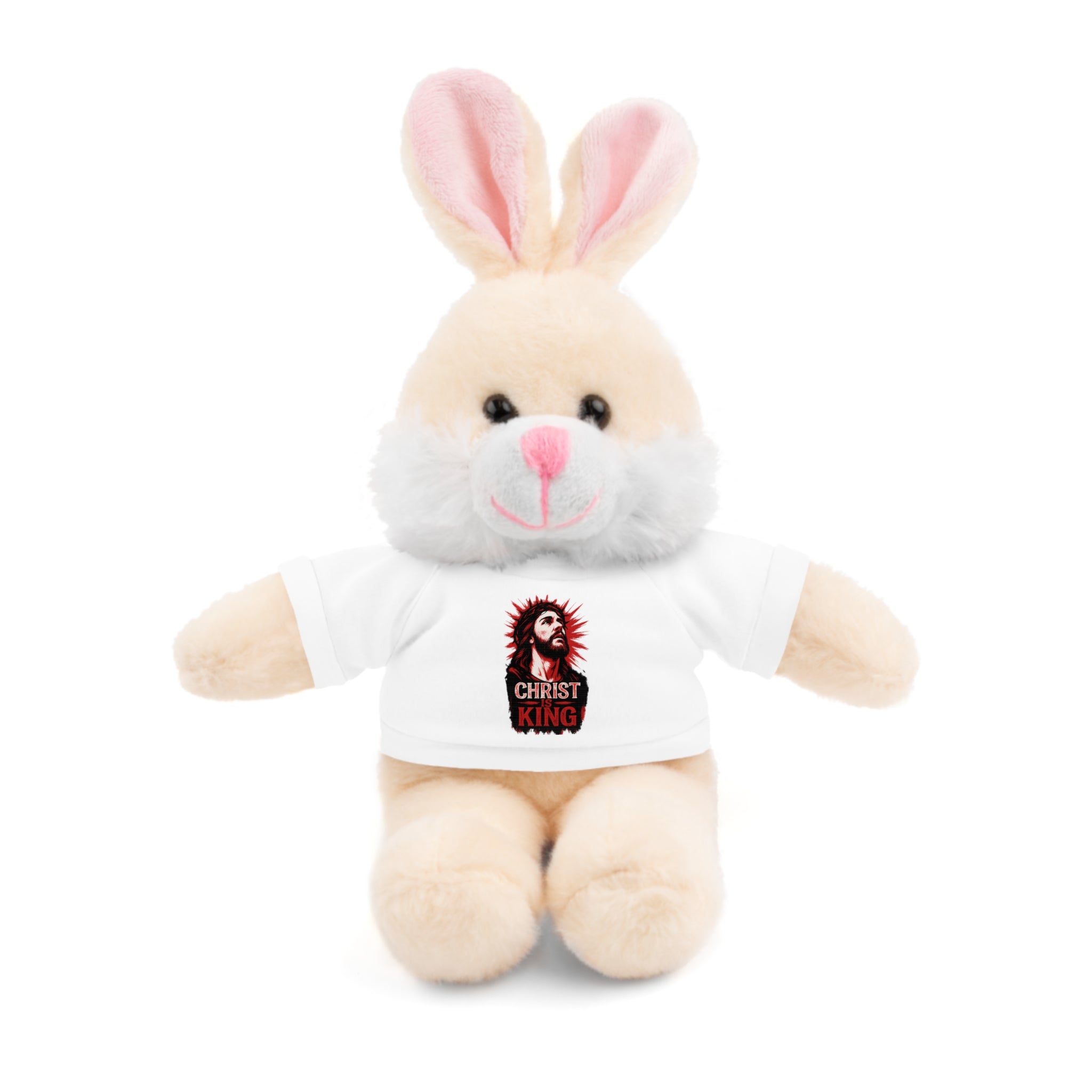 Christ is King Cute Stuffed Animal Tee Bear, Plush Bear with Shirt