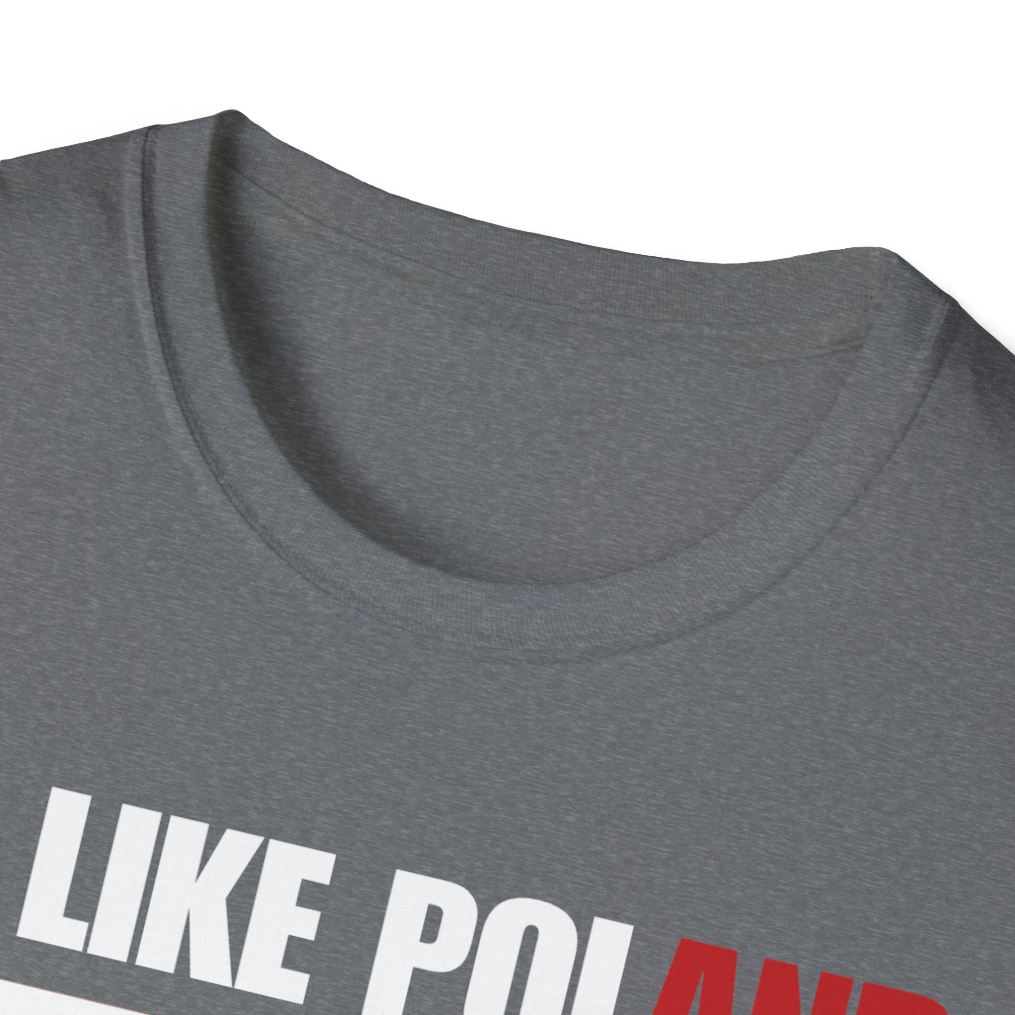 Be Like Poland Winged Hussar Front, Polish Eagle Cross Back Heavy Cotton Softstyle T-Shirt Softstyle Tee