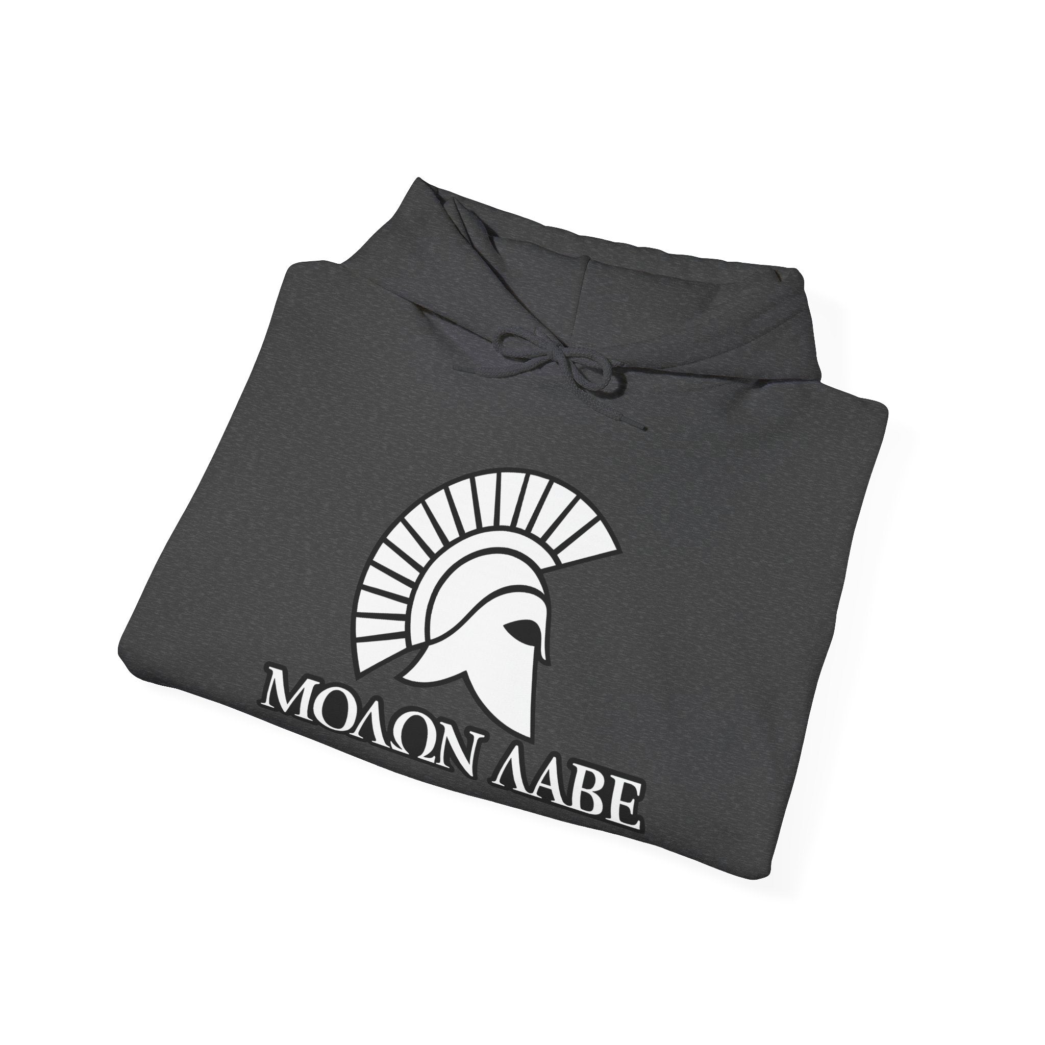Molon Labe "Come and Take It!" in Greek Pull Over Hoodie Sweatshirt