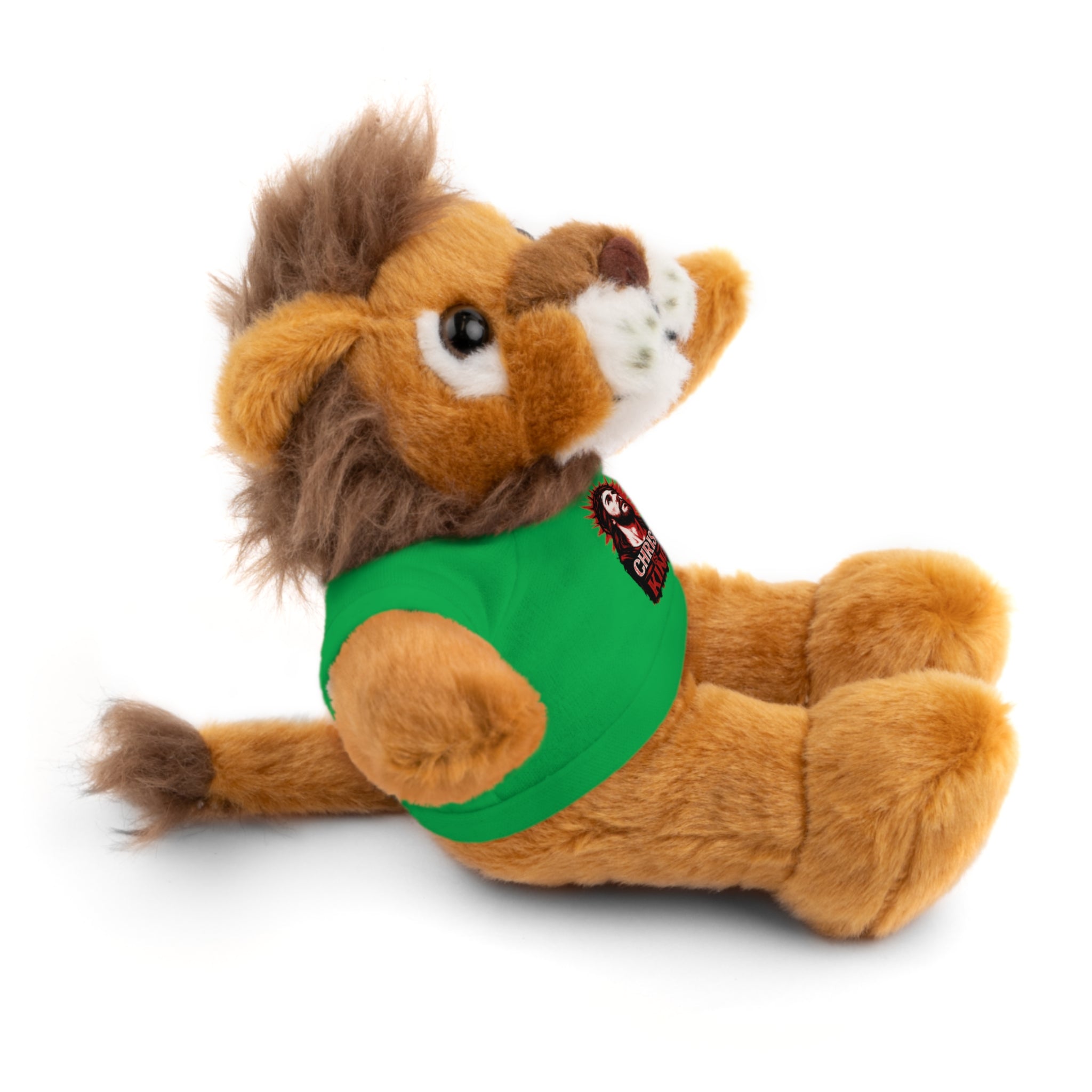 Christ is King Cute Stuffed Animal Tee Bear, Plush Bear with Shirt