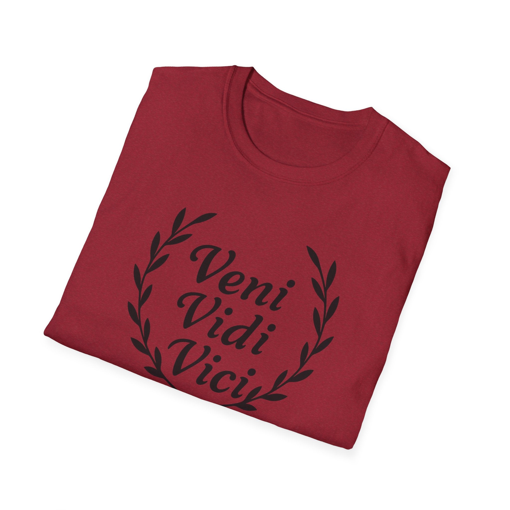 Veni Vidi Vici Black Design T-Shirt