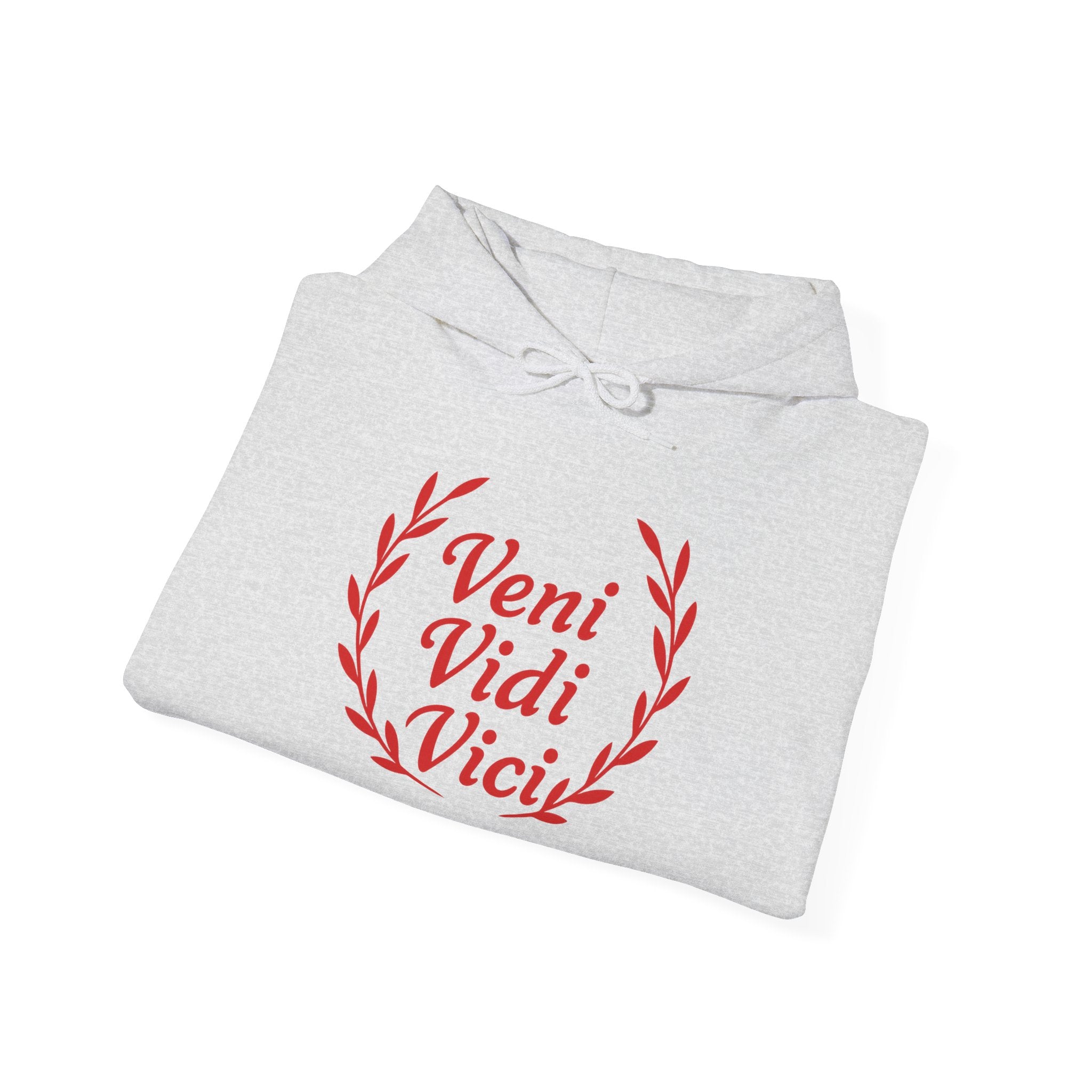 Veni Vidi Vici "I Came, I saw, I Conquered" Red Graphic Pull Over Hoodie Sweatshirt
