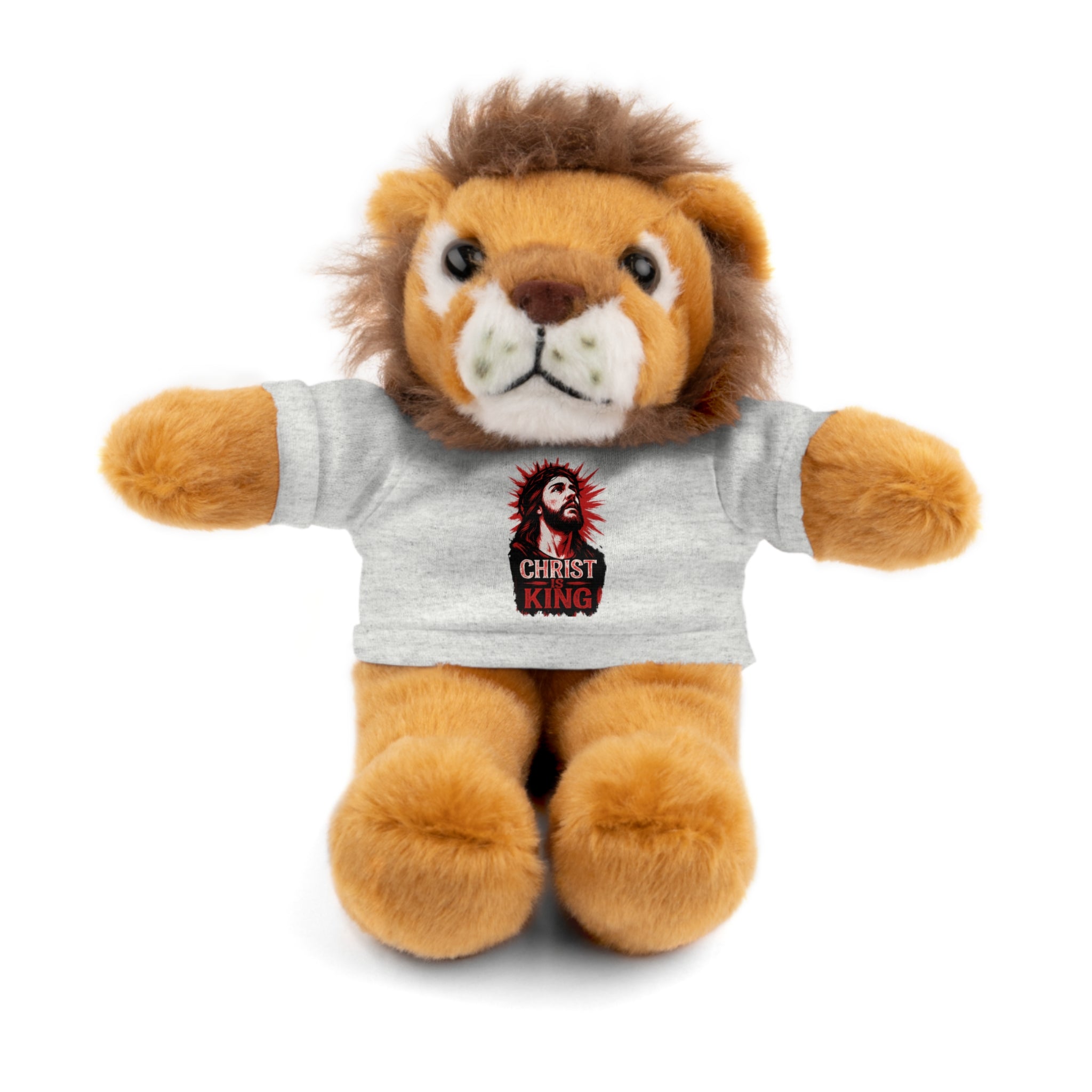 Christ is King Cute Stuffed Animal Tee Bear, Plush Bear with Shirt