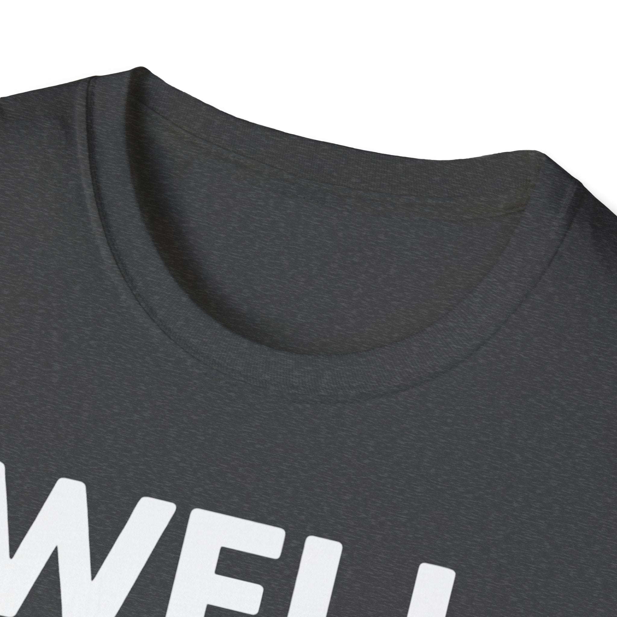 Well Hung Christmas T-Shirt | Funny Holiday Tee | Christmas Stocking Humor Shirt