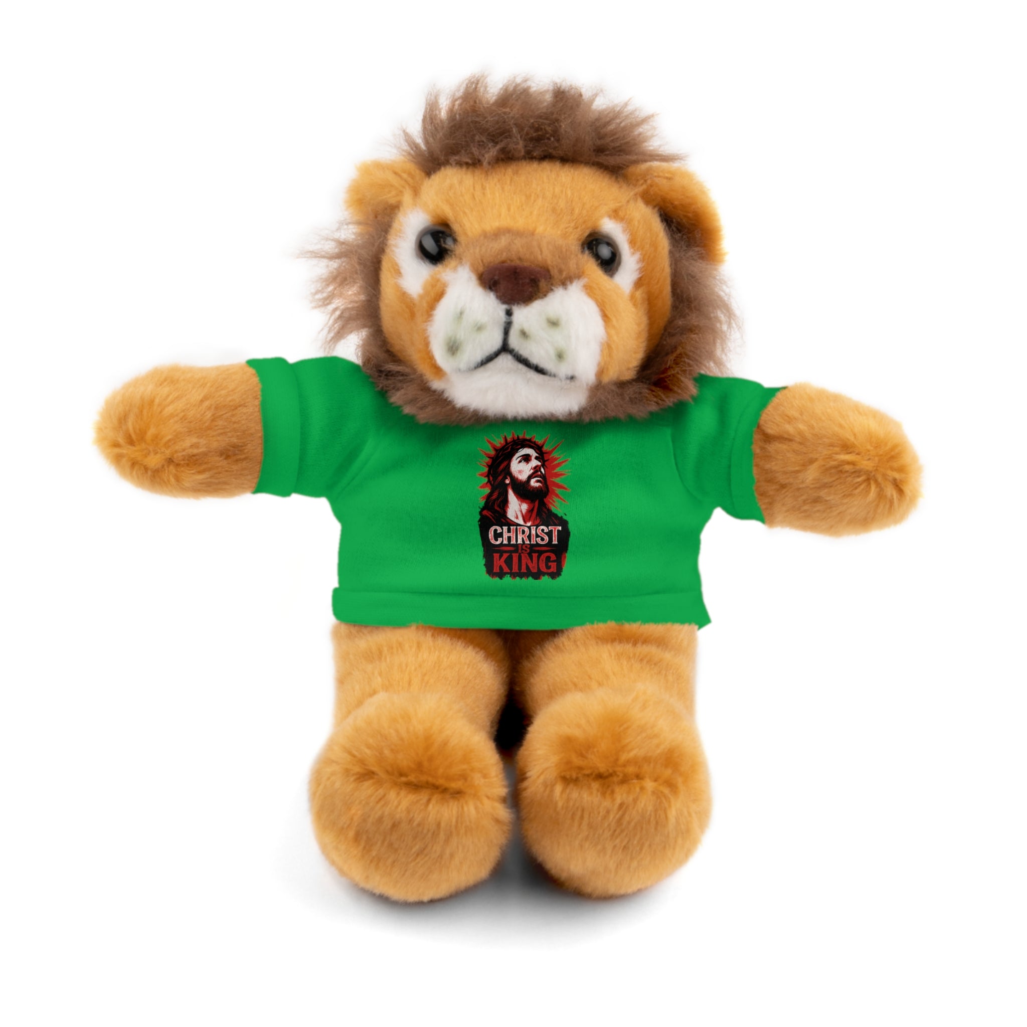 Christ is King Cute Stuffed Animal Tee Bear, Plush Bear with Shirt