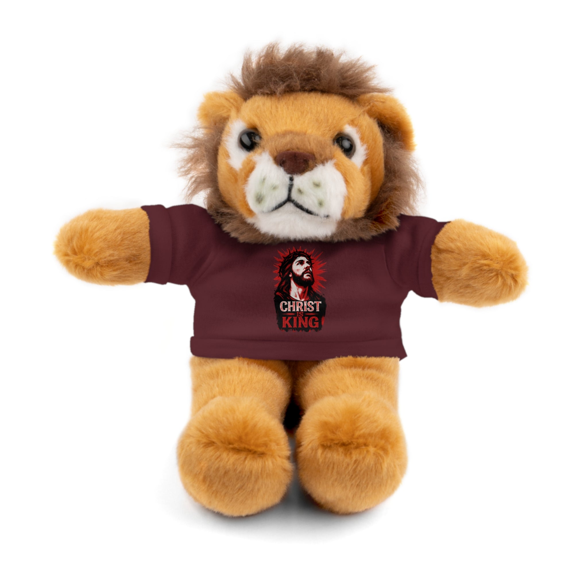 Christ is King Cute Stuffed Animal Tee Bear, Plush Bear with Shirt