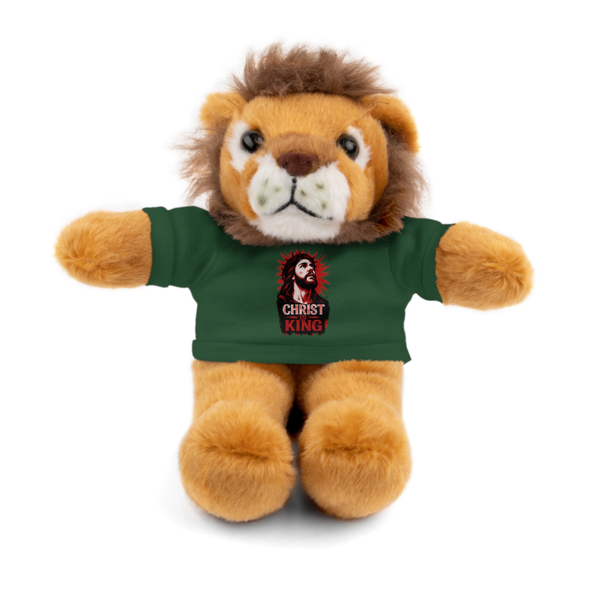 Christ is King Cute Stuffed Animal Tee Bear, Plush Bear with Shirt