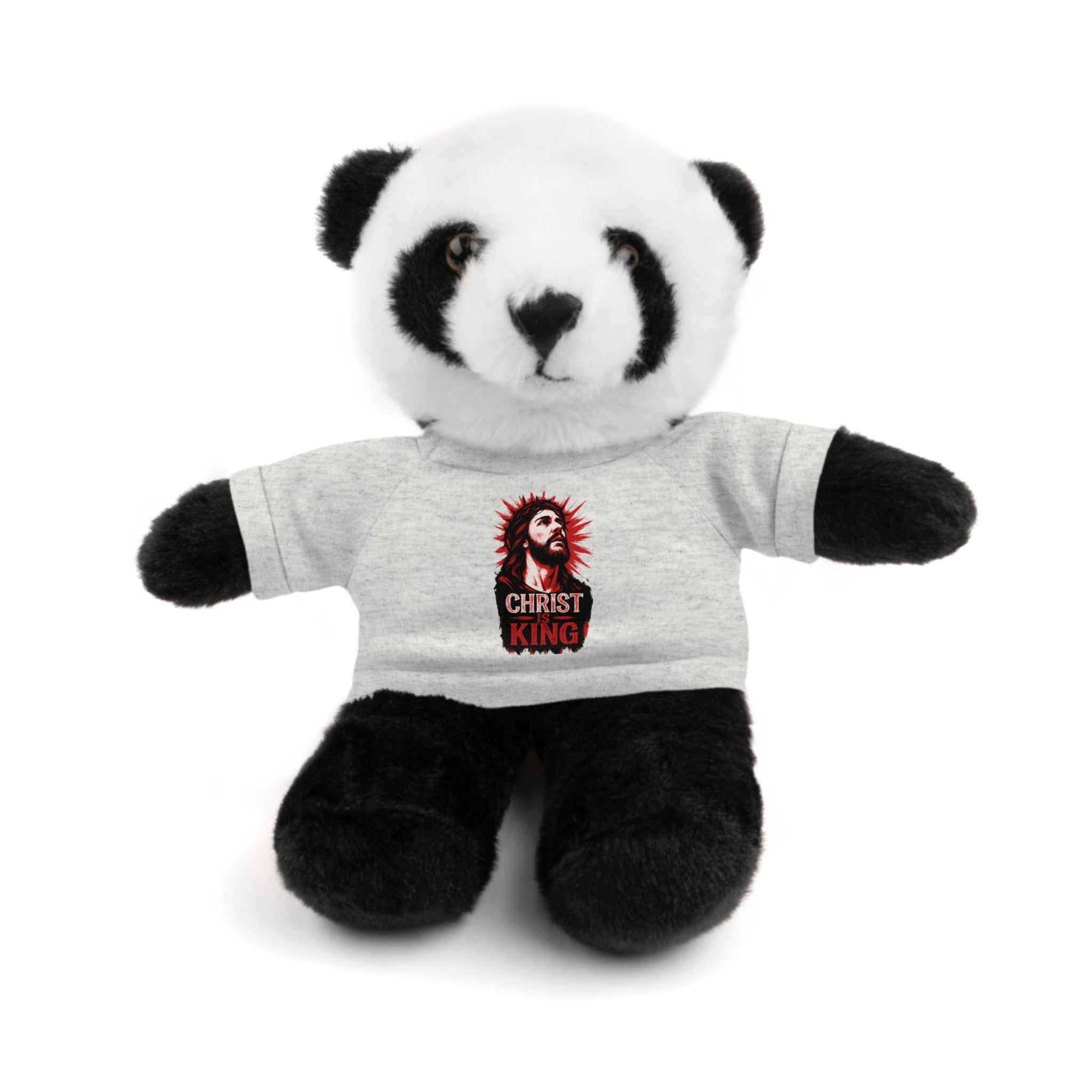 Christ is King Cute Stuffed Animal Tee Bear, Plush Bear with Shirt