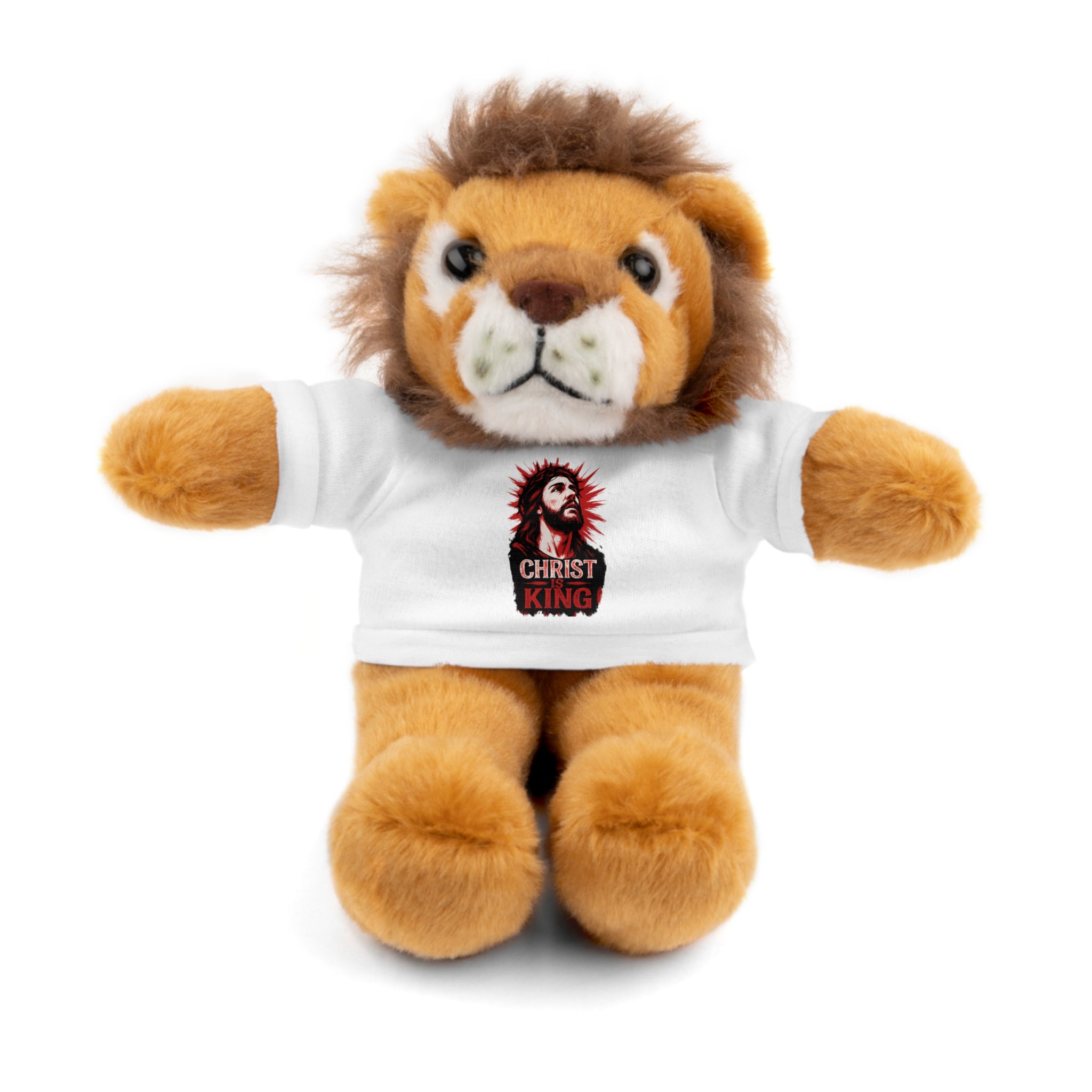 Christ is King Cute Stuffed Animal Tee Bear, Plush Bear with Shirt