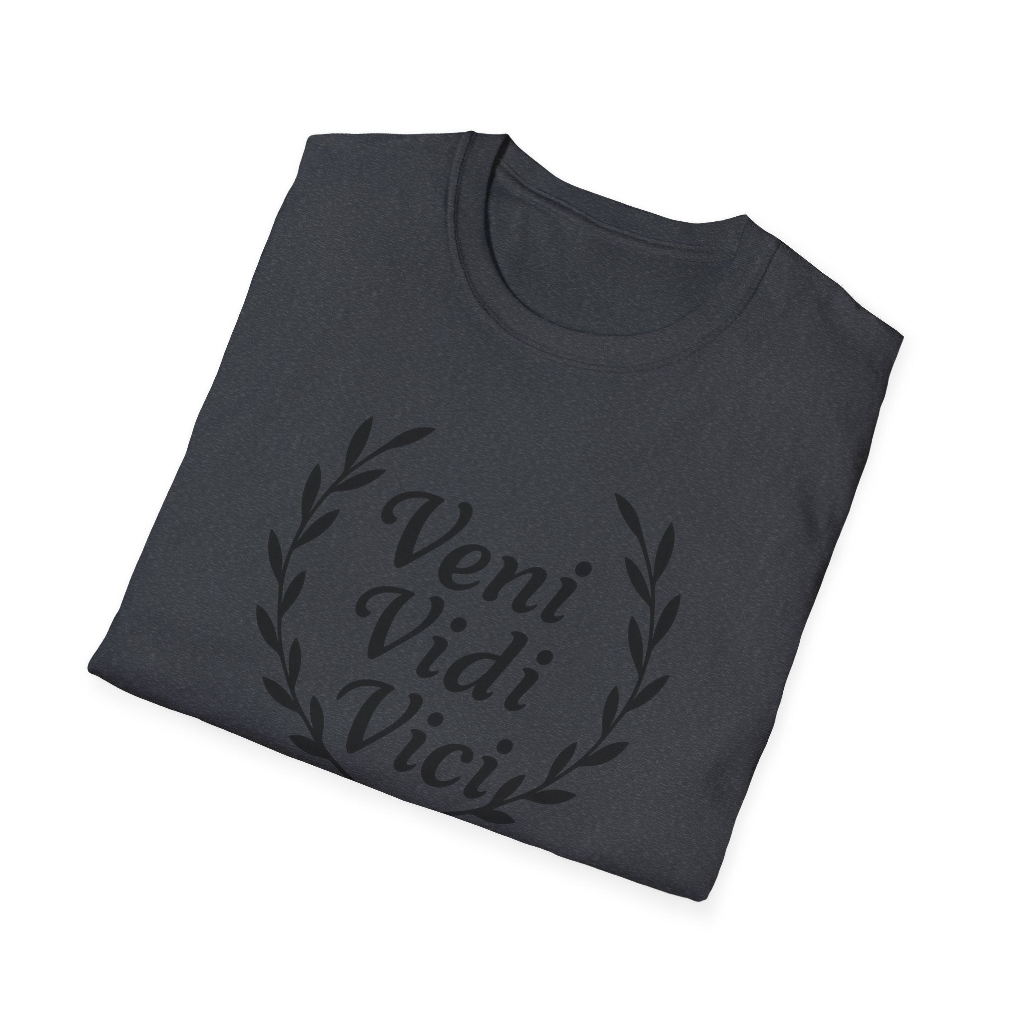 Veni Vidi Vici Black Design T-Shirt
