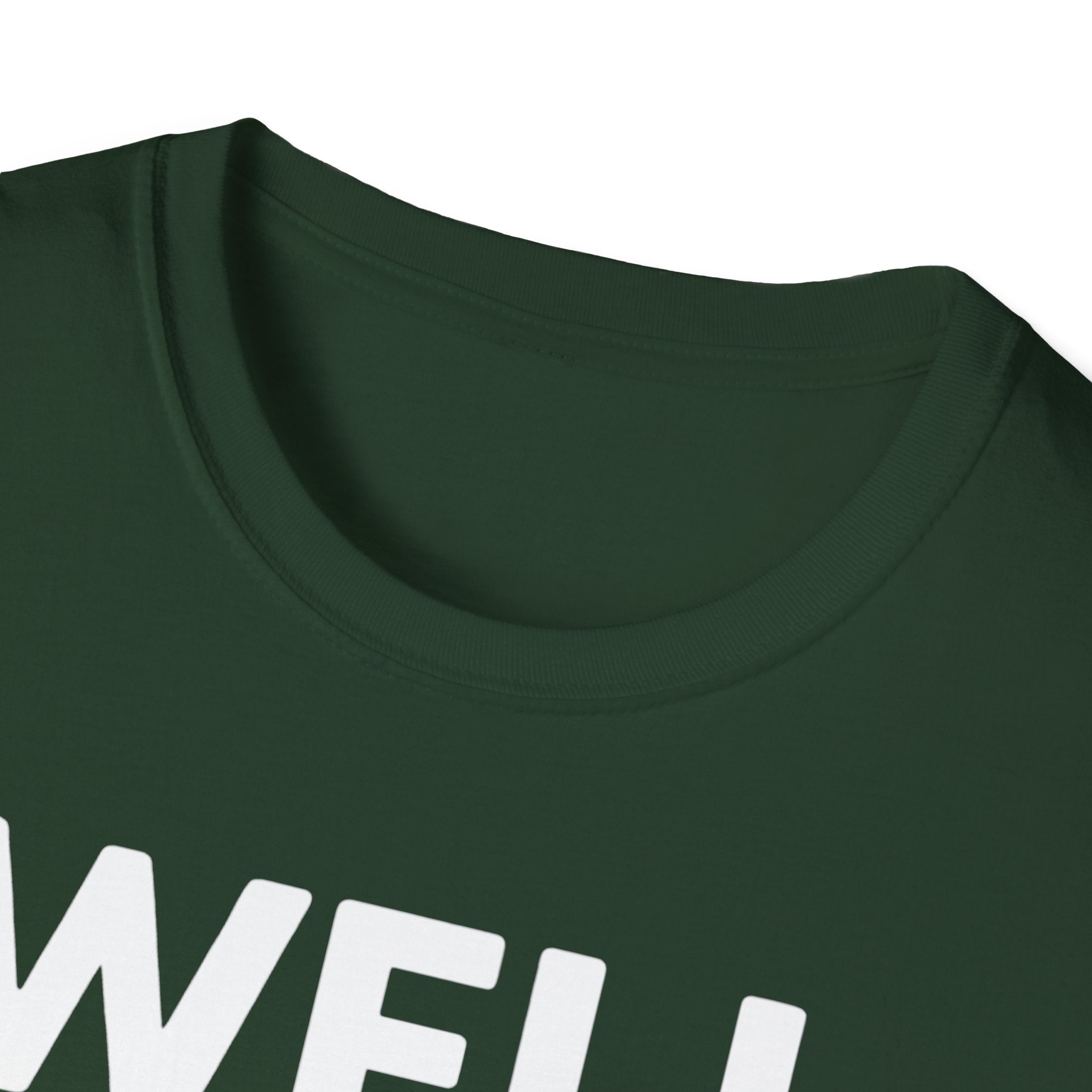 Well Hung Christmas T-Shirt | Funny Holiday Tee | Christmas Stocking Humor Shirt