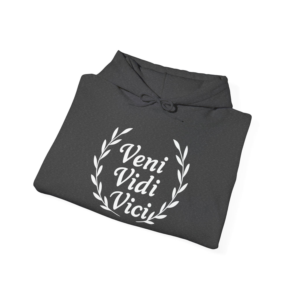 Veni Vidi Vici "I Came, I saw, I Conquered" White Graphic Pull Over Hoodie Sweatshirt