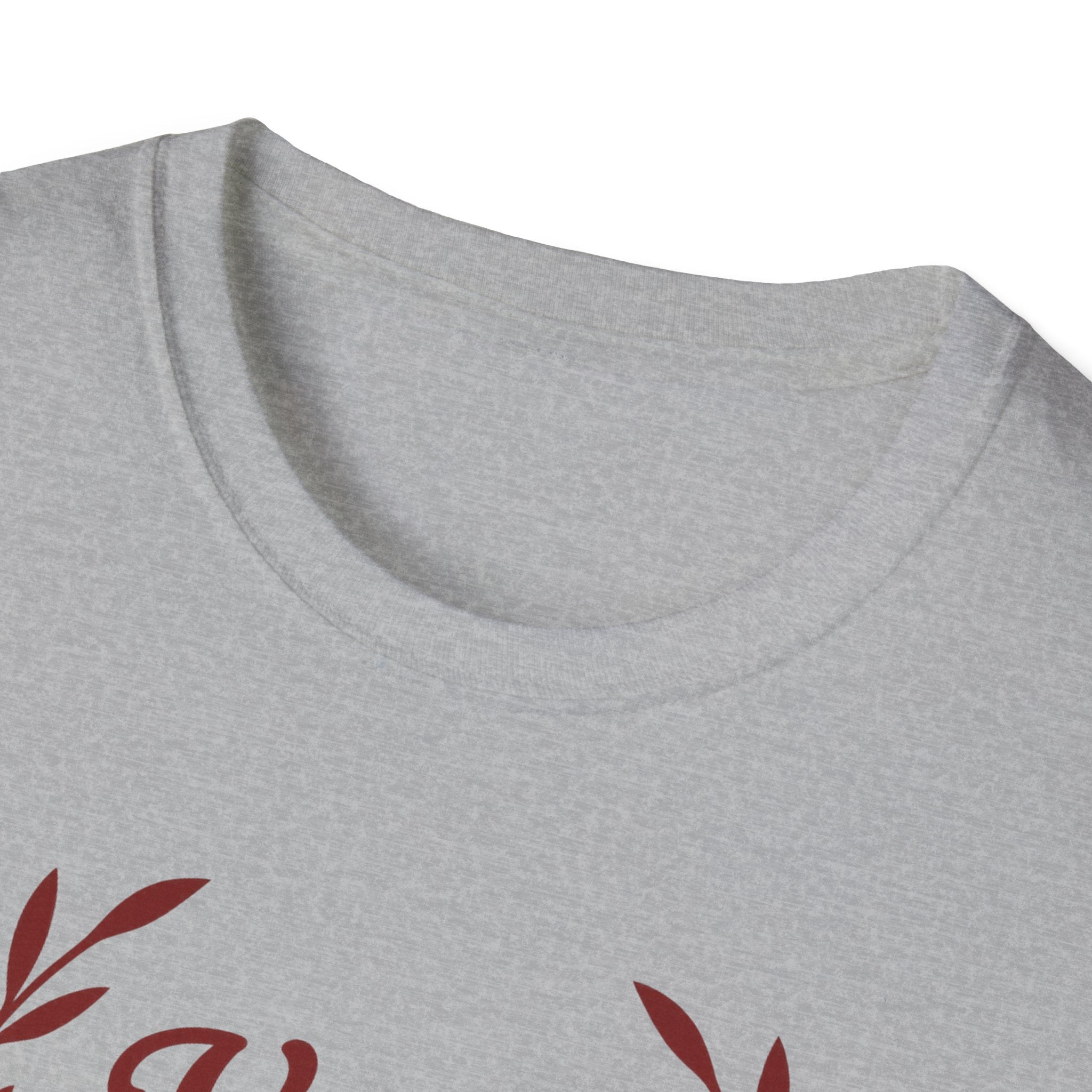 Veni Vidi Vici Red Design Softstyle T-Shirt