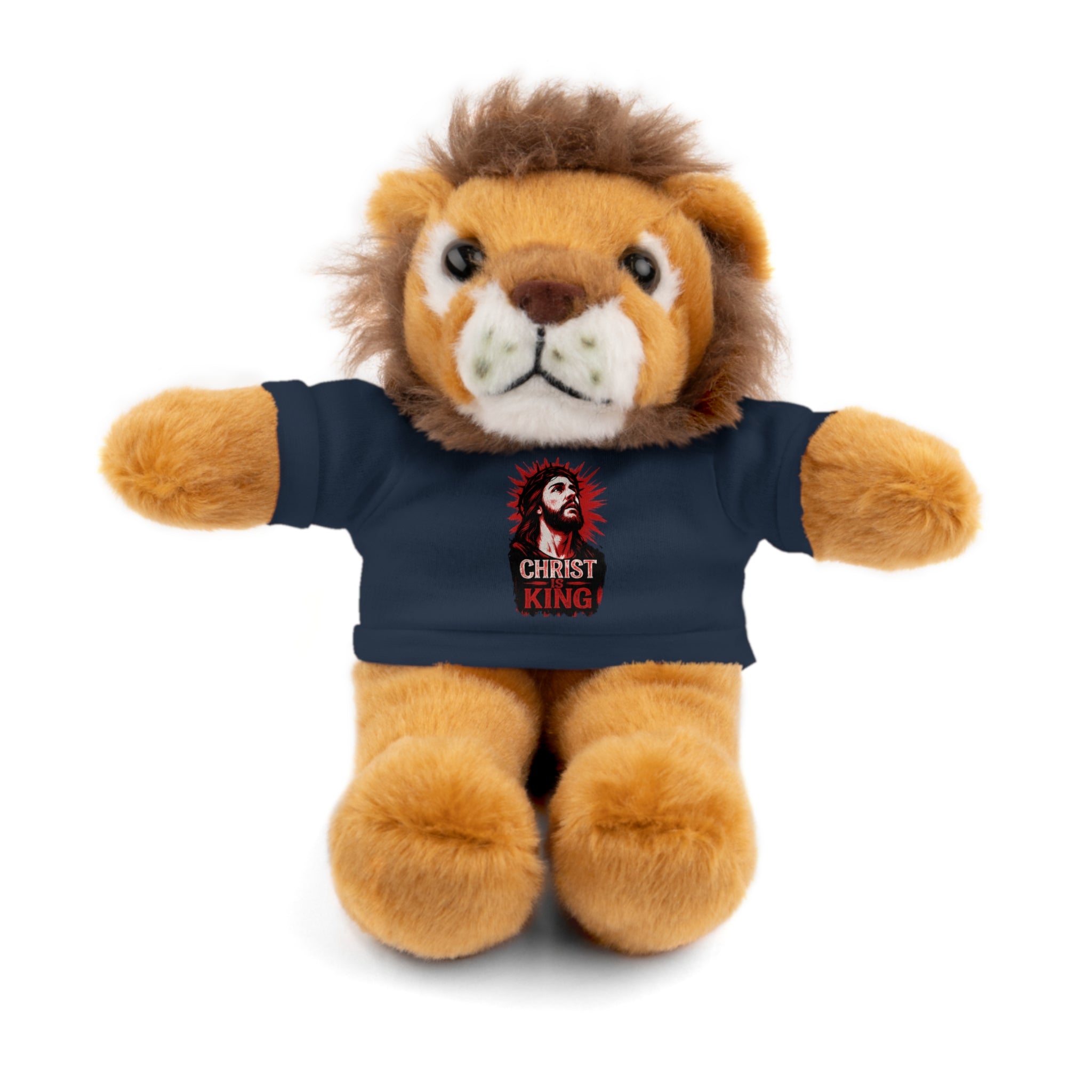 Christ is King Cute Stuffed Animal Tee Bear, Plush Bear with Shirt
