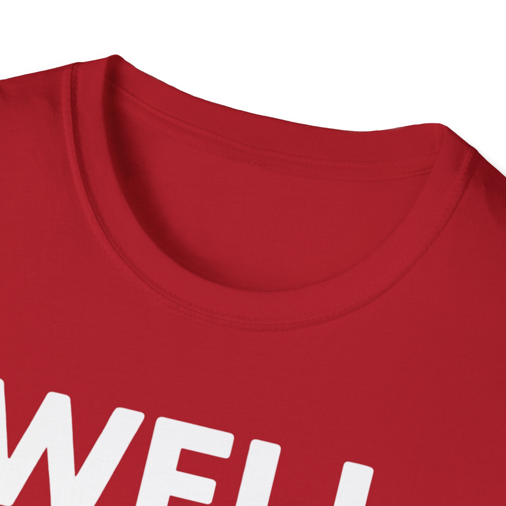 Well Hung Christmas T-Shirt | Funny Holiday Tee | Christmas Stocking Humor Shirt