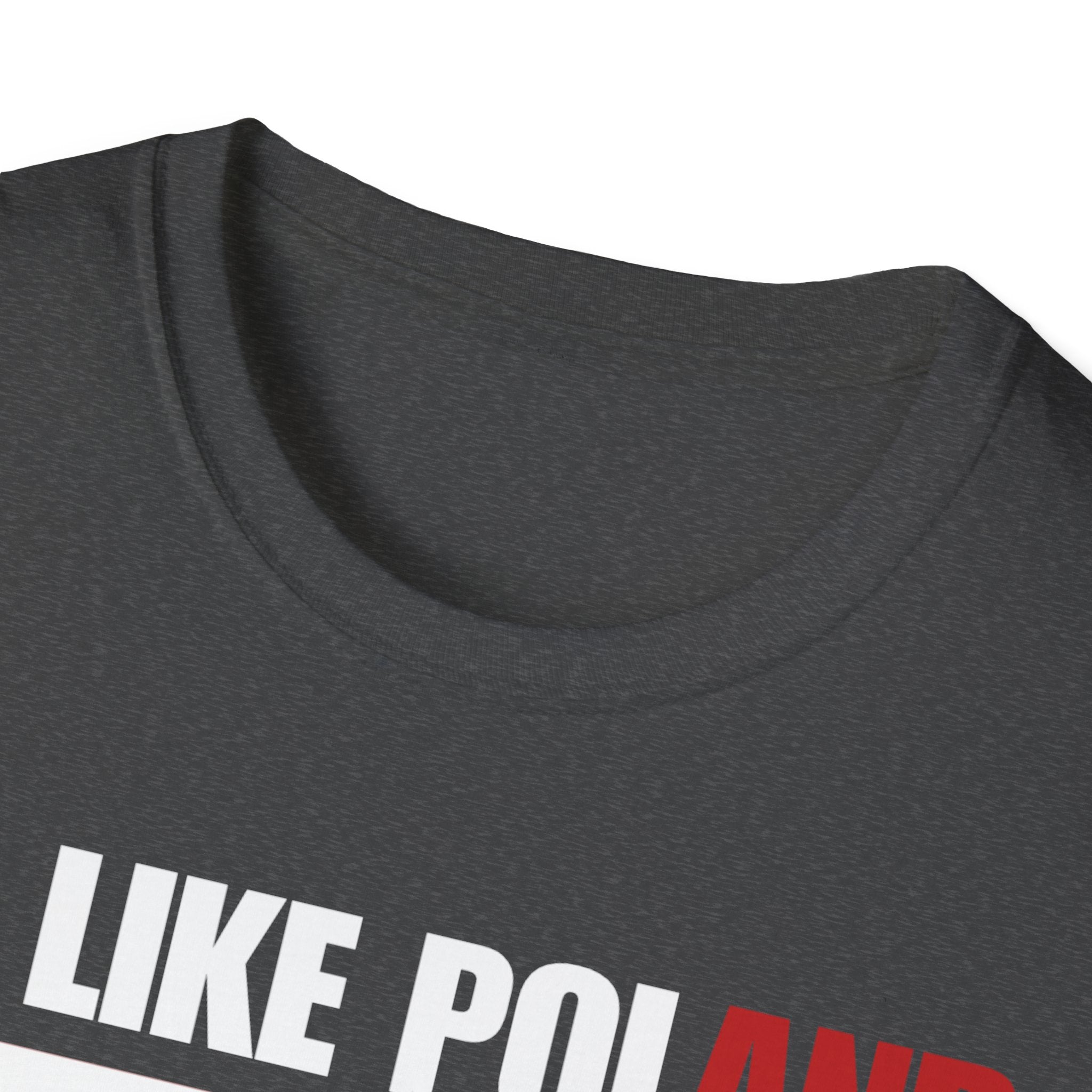 Be Like Poland Winged Hussar Softstyle Cotton T-Shirt