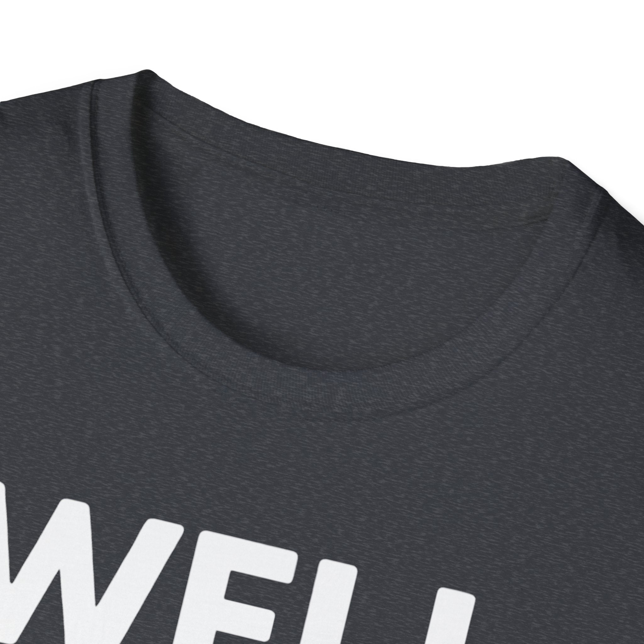 Well Hung Christmas T-Shirt | Funny Holiday Tee | Christmas Stocking Humor Shirt