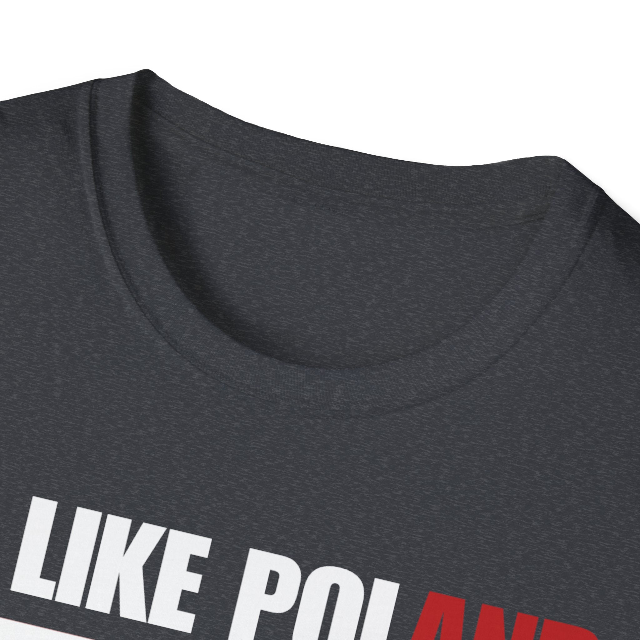 Be Like Poland Winged Hussar Front, Polish Eagle Cross Back Heavy Cotton Softstyle T-Shirt Softstyle Tee