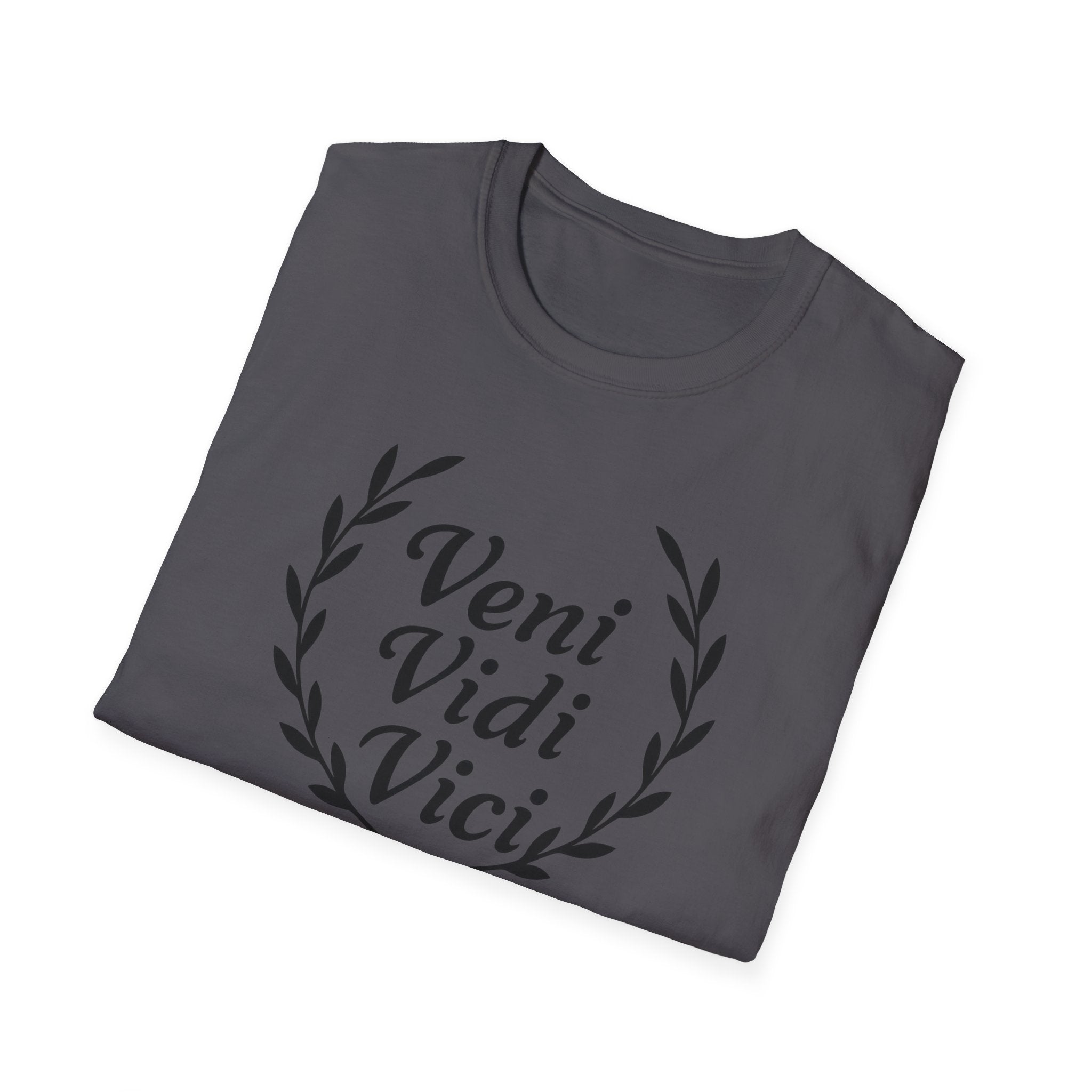 Veni Vidi Vici Black Design T-Shirt