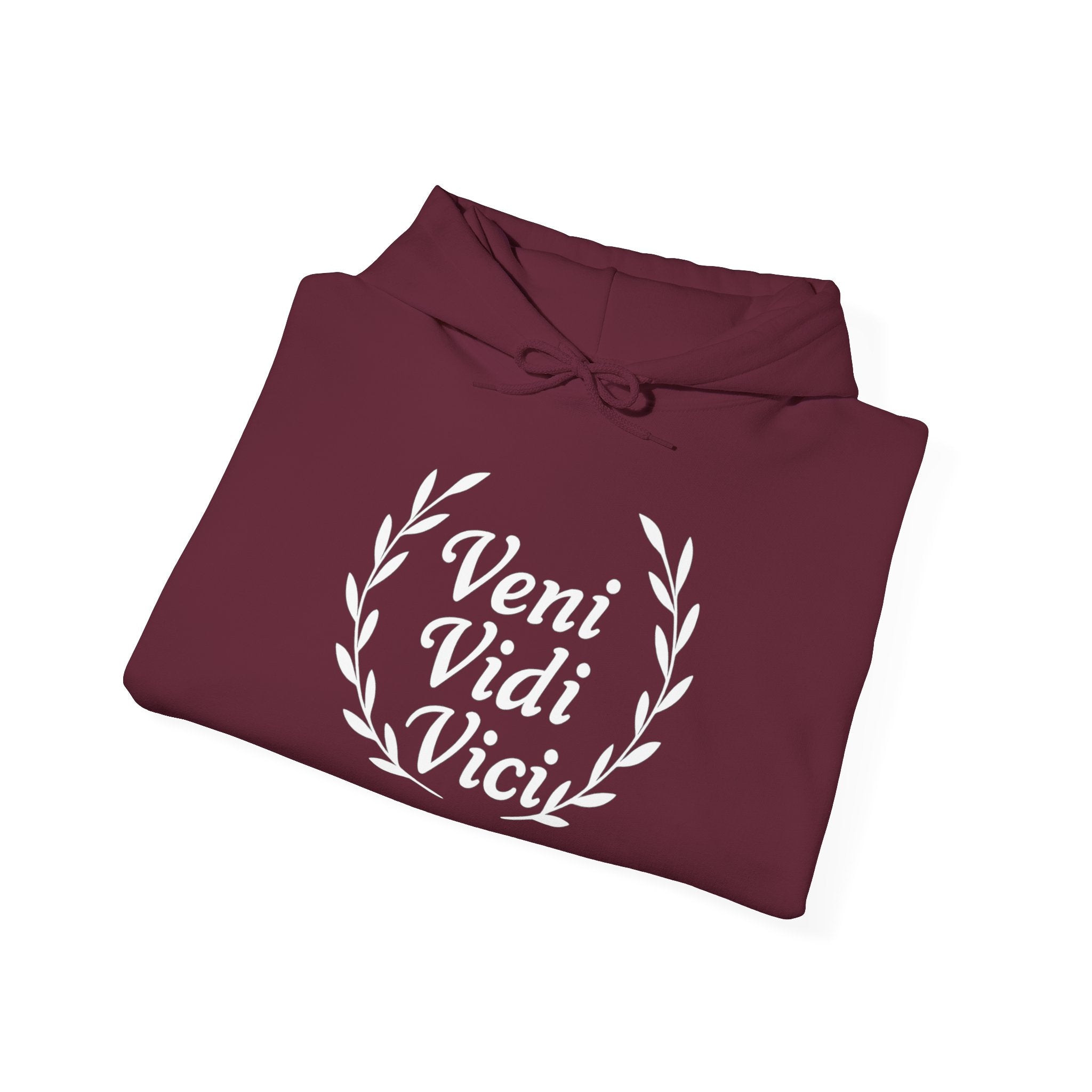 Veni Vidi Vici "I Came, I saw, I Conquered" White Graphic Pull Over Hoodie Sweatshirt