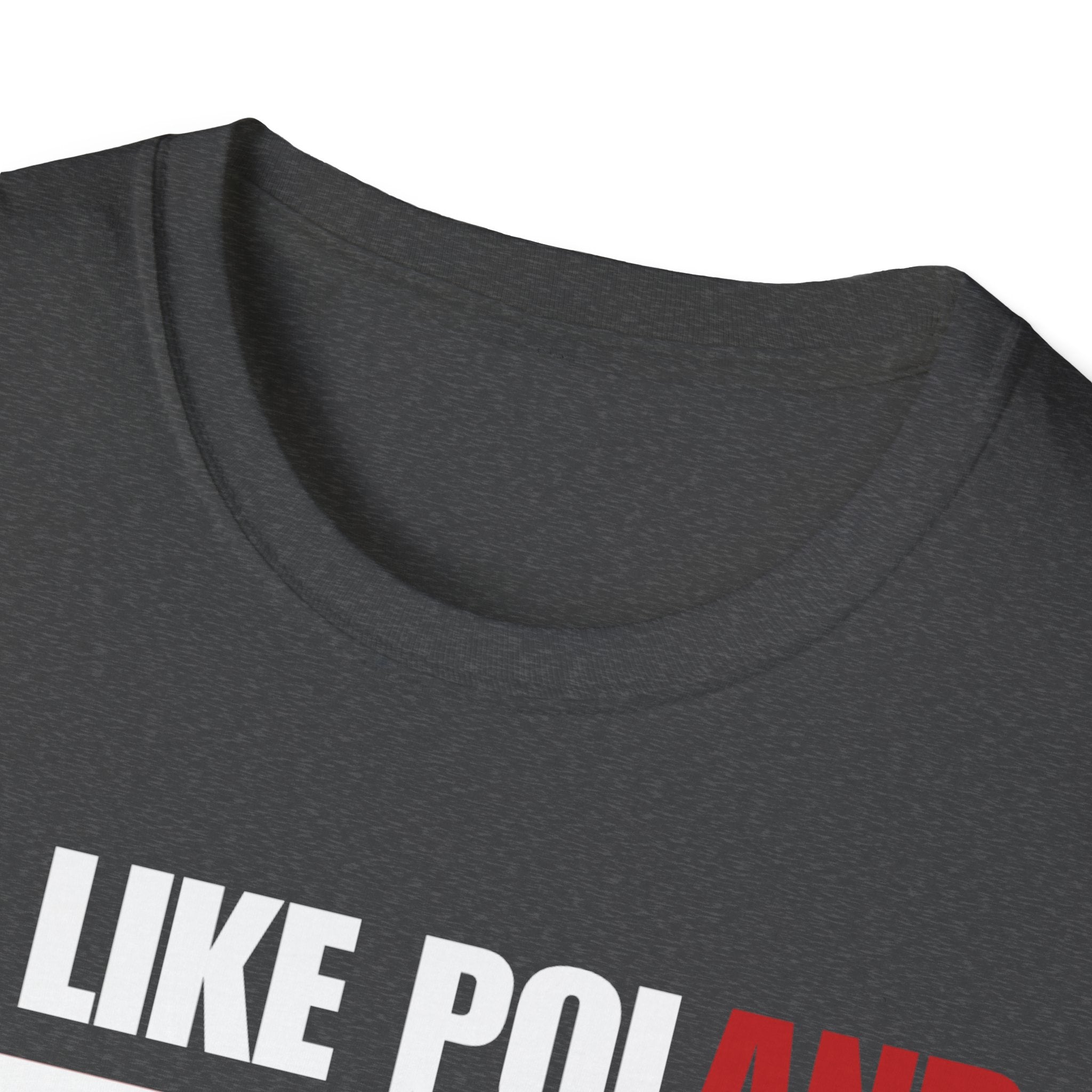 Be Like Poland Winged Hussar Front, Polish Eagle Cross Back Heavy Cotton Softstyle T-Shirt Softstyle Tee